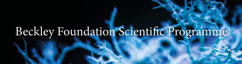 Scientific programme at the Beckley Foundation