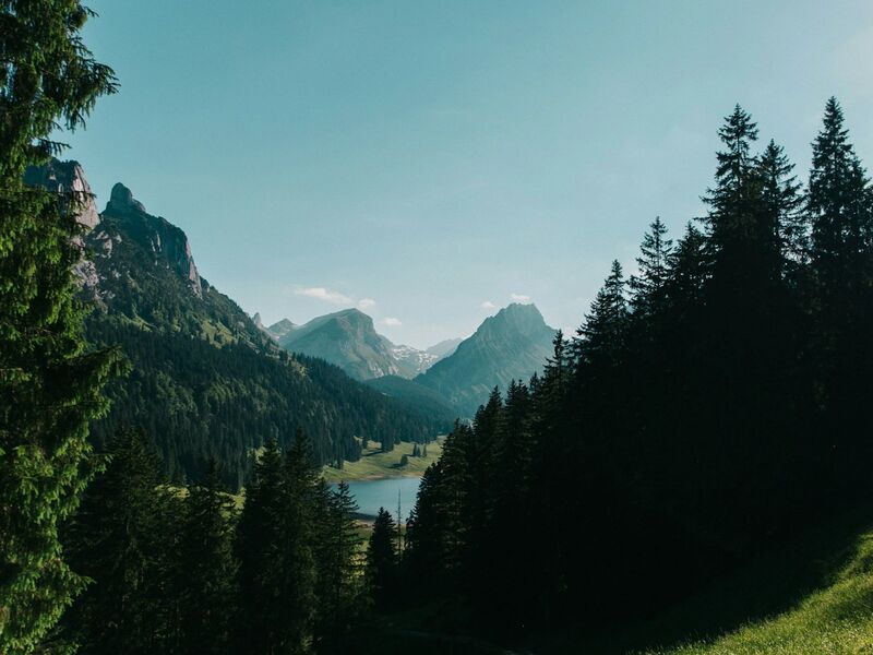 Nature landscape representing rights of nature legal framework