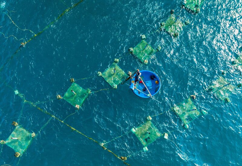 Conference gathering of governance researchers