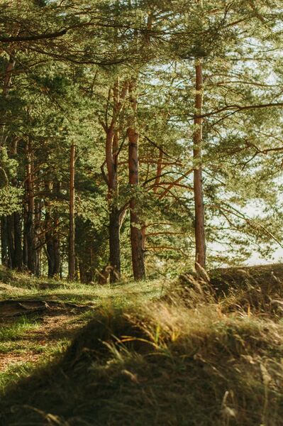 Gaia AI team member working on environmental monitoring