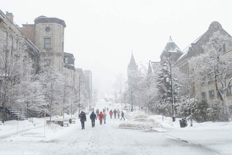 Large-scale policy simulation exercise