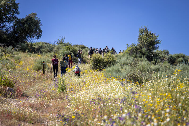 European Rewilding event in Greater Coa Valley