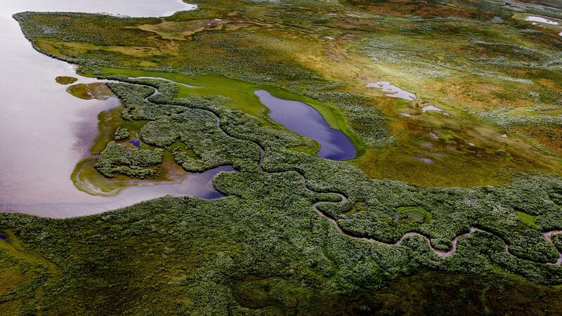 Arctic landscape in Arvidsjaur showing Sami traditional territory