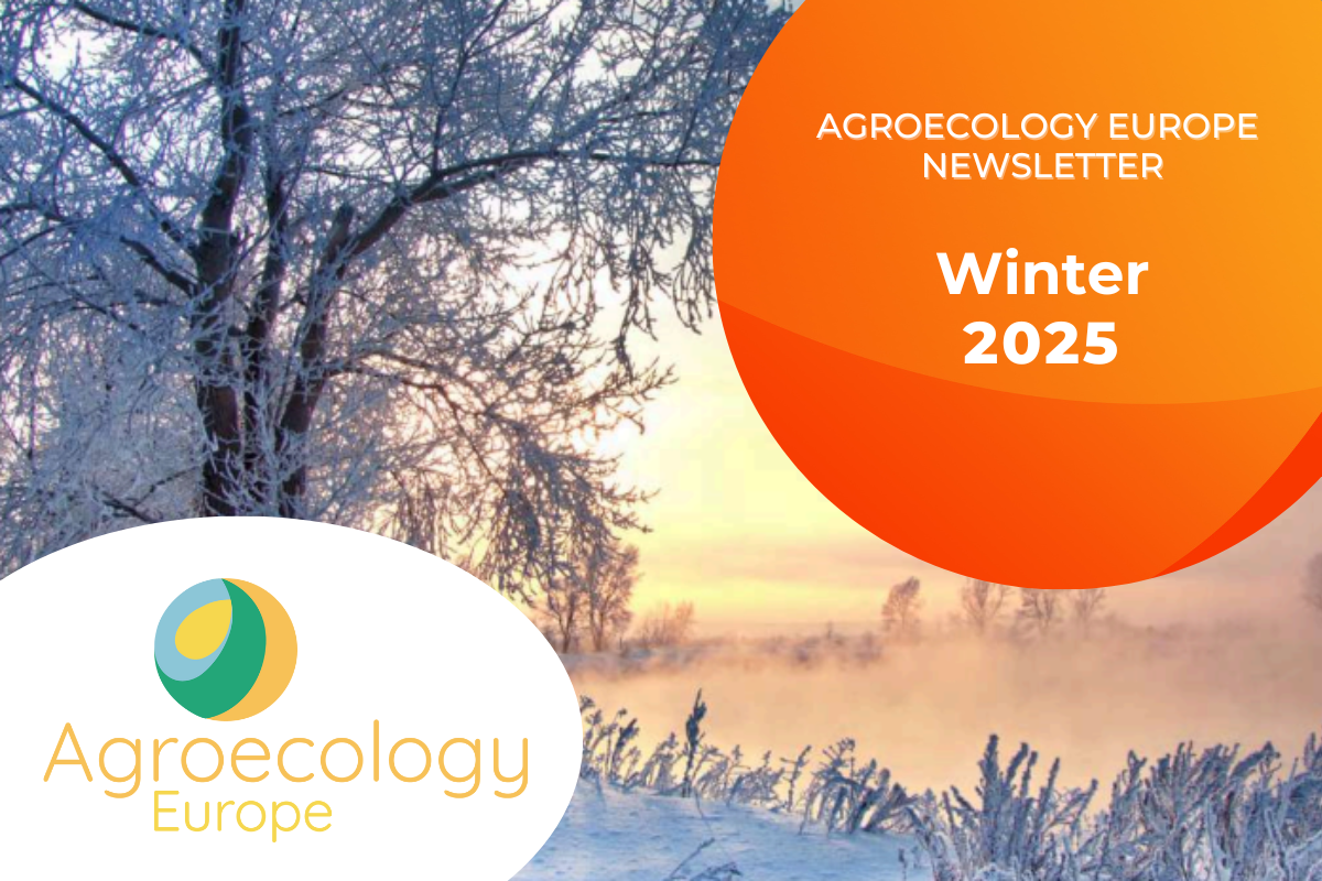 Frost-covered winter landscape with bare trees and golden sunrise, representing seasonal transition