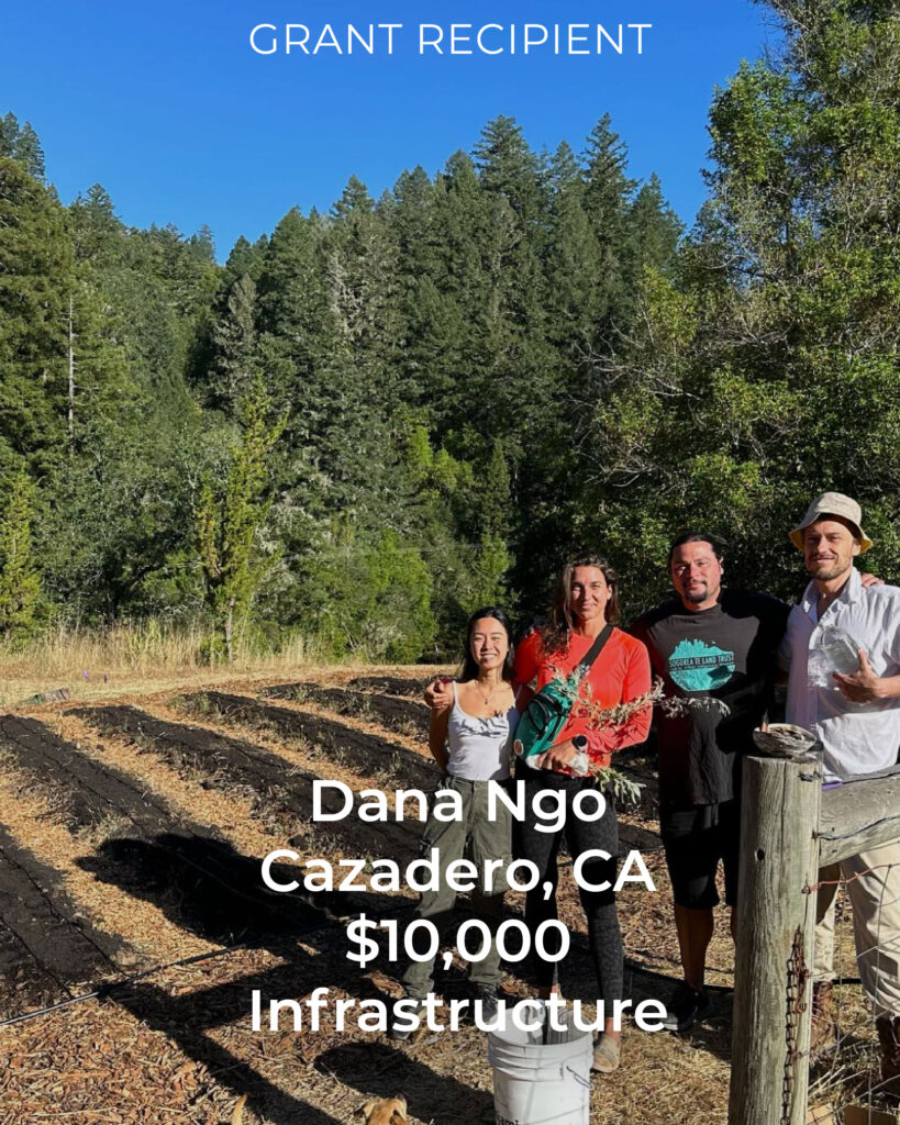 Four farmers standing beside mulched garden beds with forest backdrop in Cazadero, California