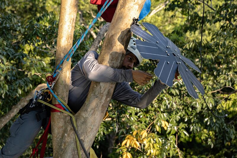 Tropical ecosystem under acoustic biodiversity monitoring
